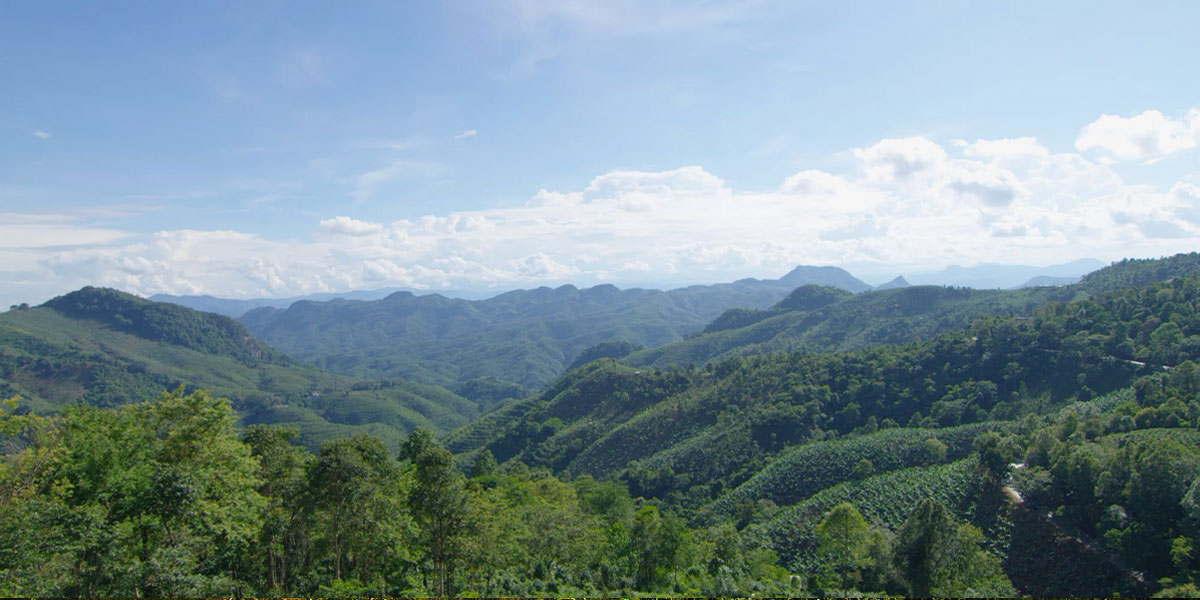 安溪龙涓生态茶庄园基地